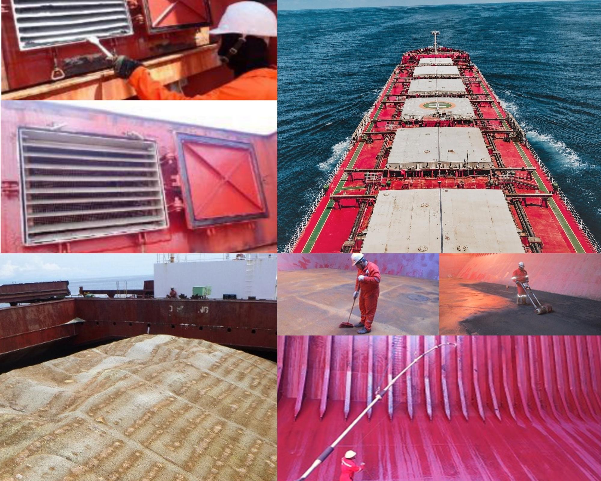 What is a Bulk Cargo? Logistics Terms and Definitions