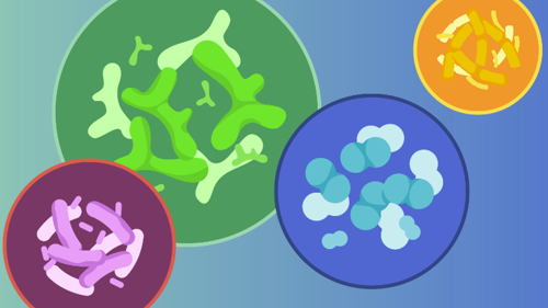 Screenshot 2026-04-24 at 14.21.43