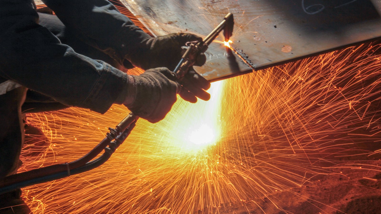 shutterstock_1102113833