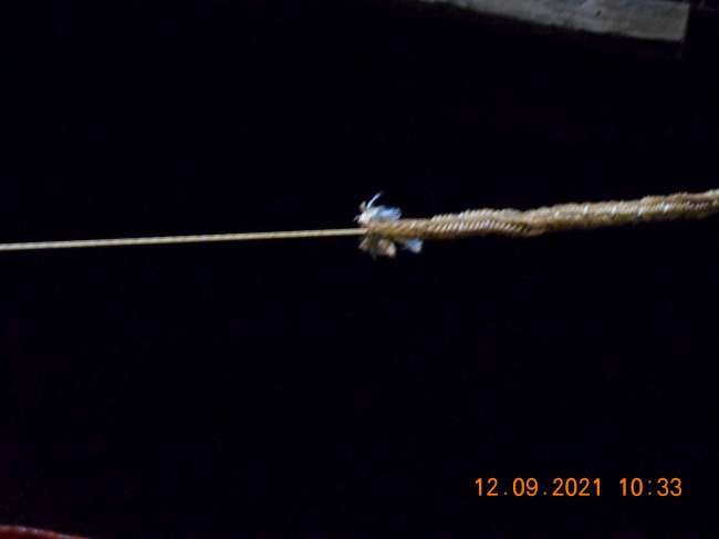 DSCN1420-650