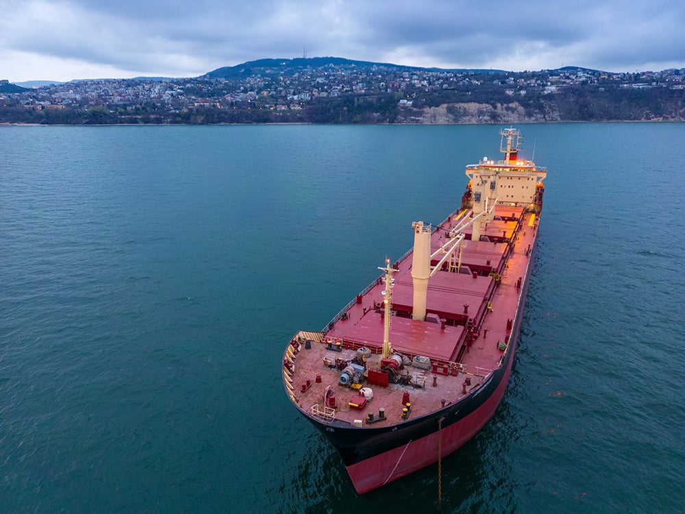 Bulk carrier cargo vessel travelling