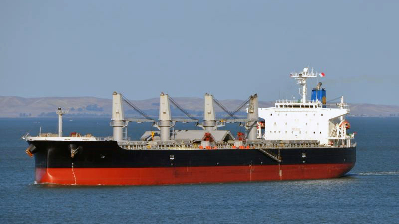 Bulk Vessel Management