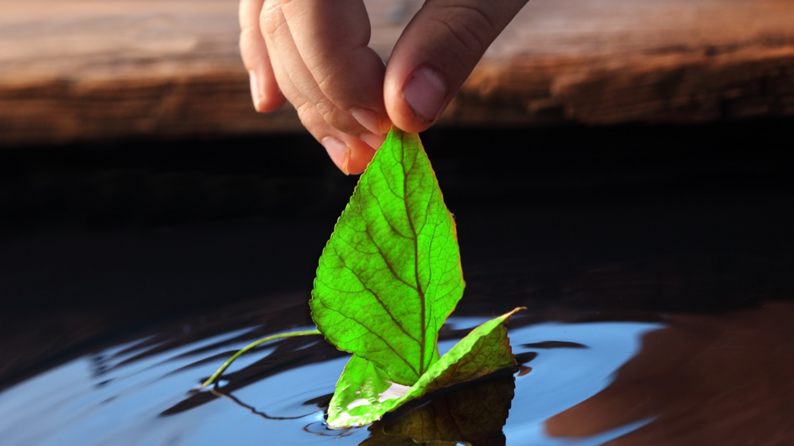 grean leaf hero image