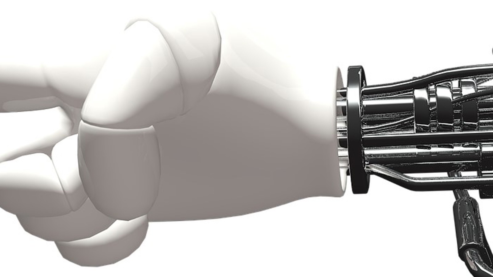 Bot hand main image Bot hand main image