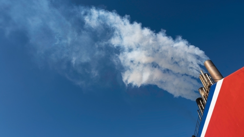 shutterstock_2473369491