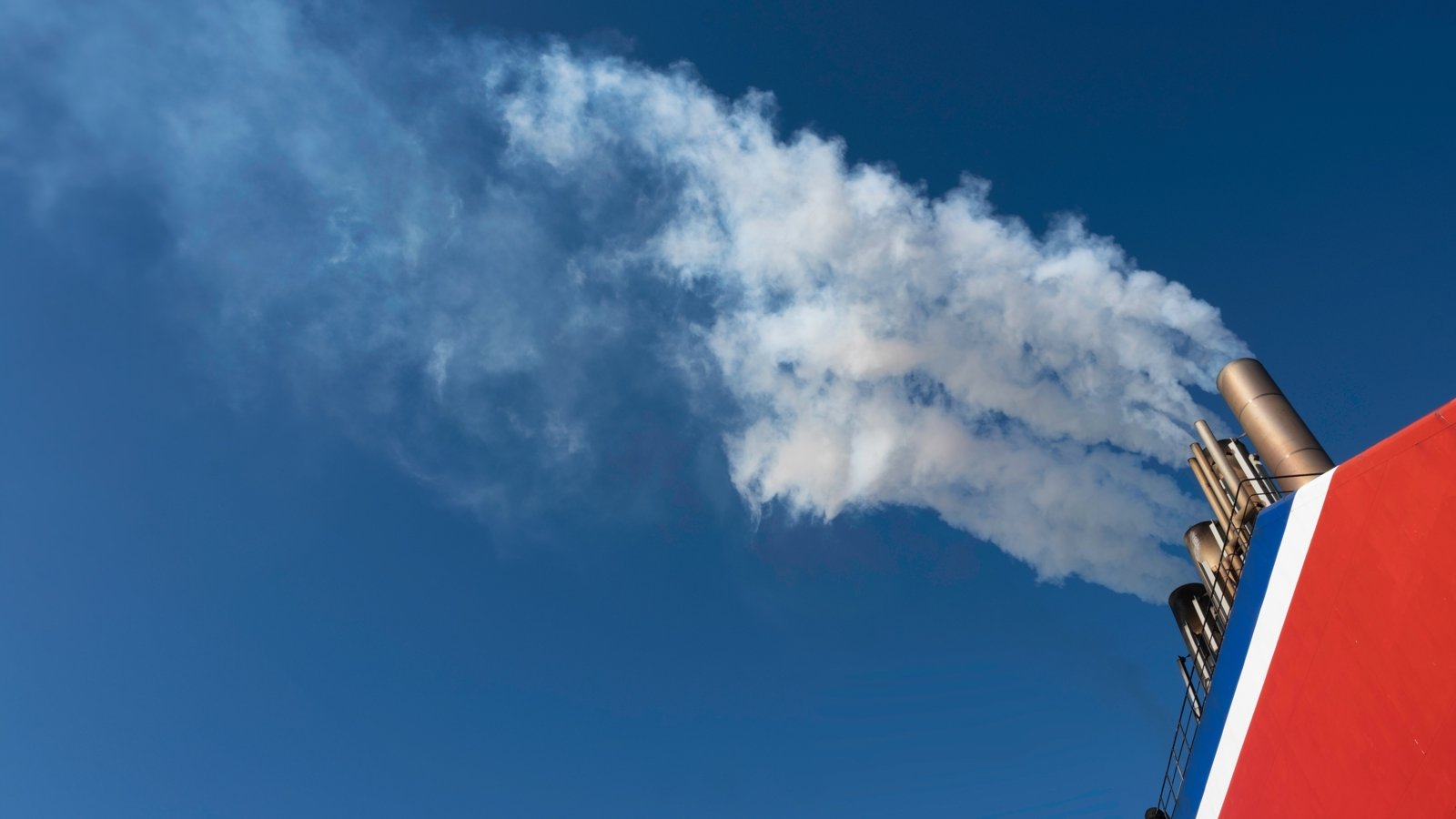 shutterstock_2473369491