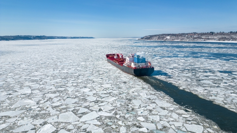 shutterstock_2600807993