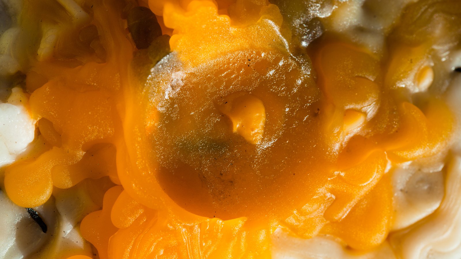 Wax Formations