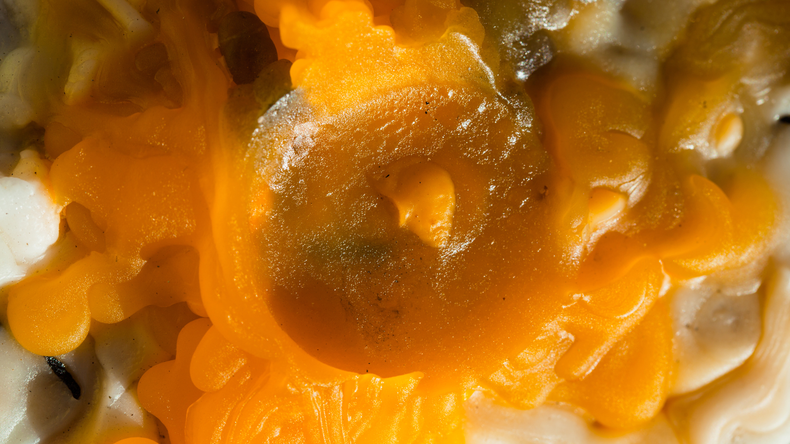 Wax Formations Wax Formations