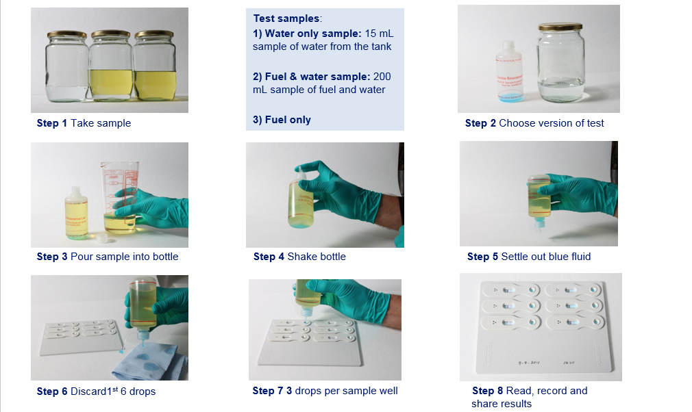 Bacteria in marine diesel fuel oil