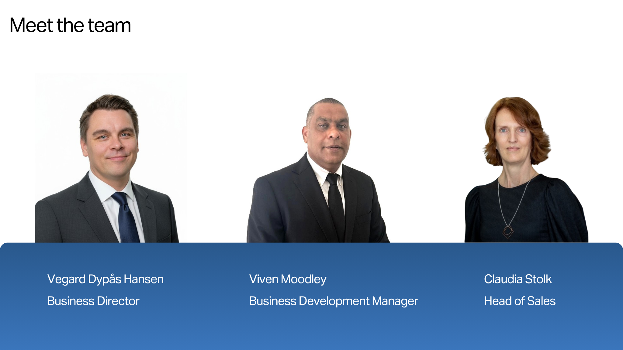 Revelle meet the team