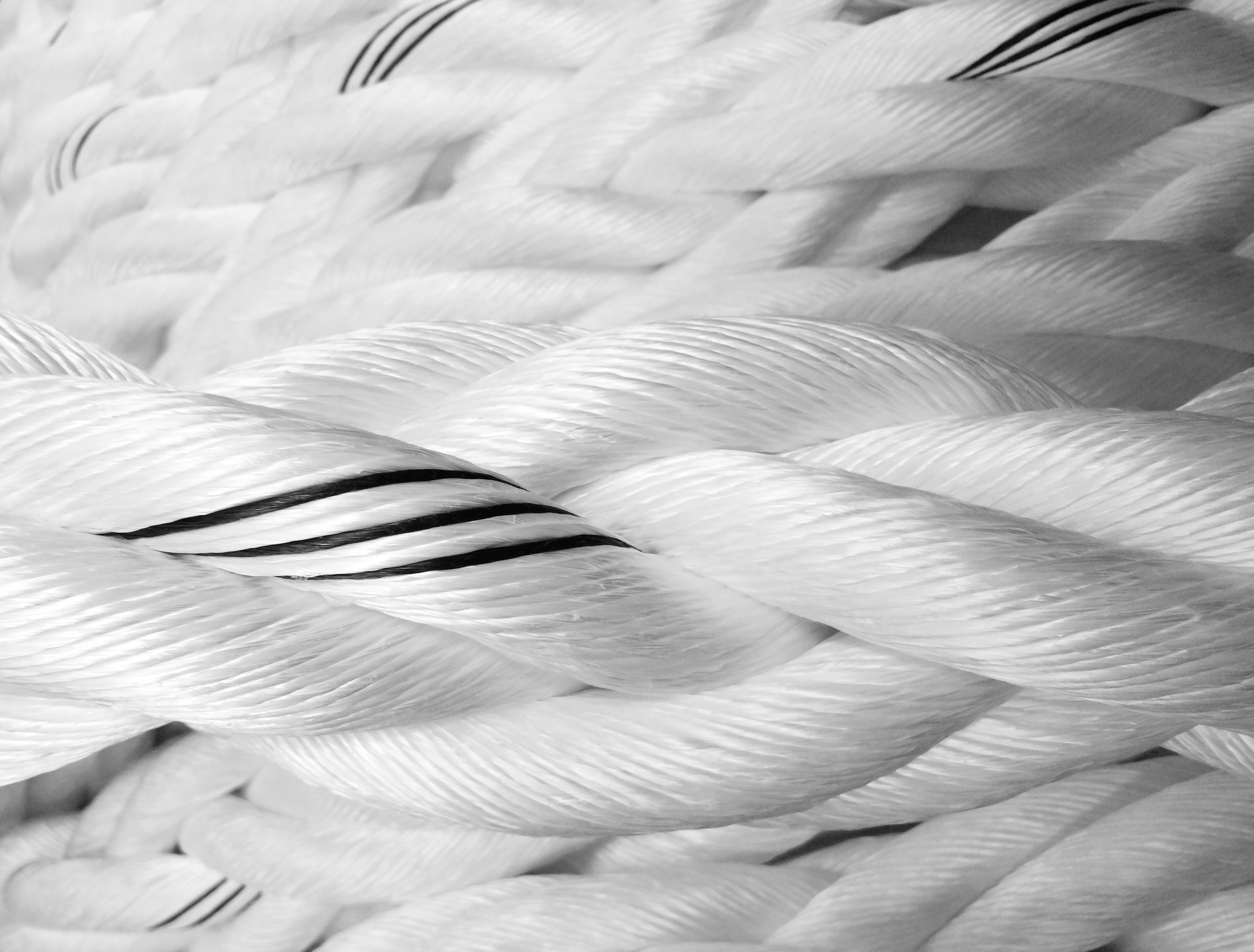 Ropes Cover Picture